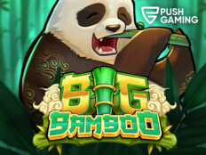 Big dollar casino free no deposit bonus codes47